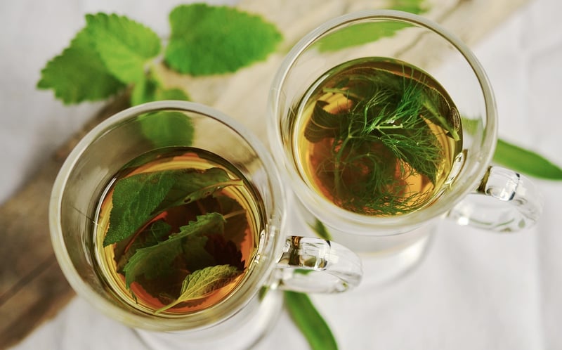 Herbal Healing Sanctuaries